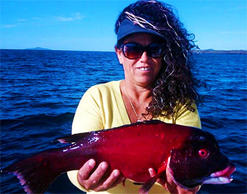 Baja Sheephead