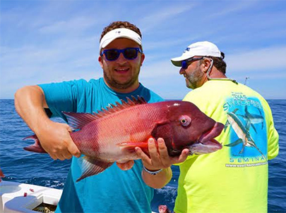 Baja Sheephead