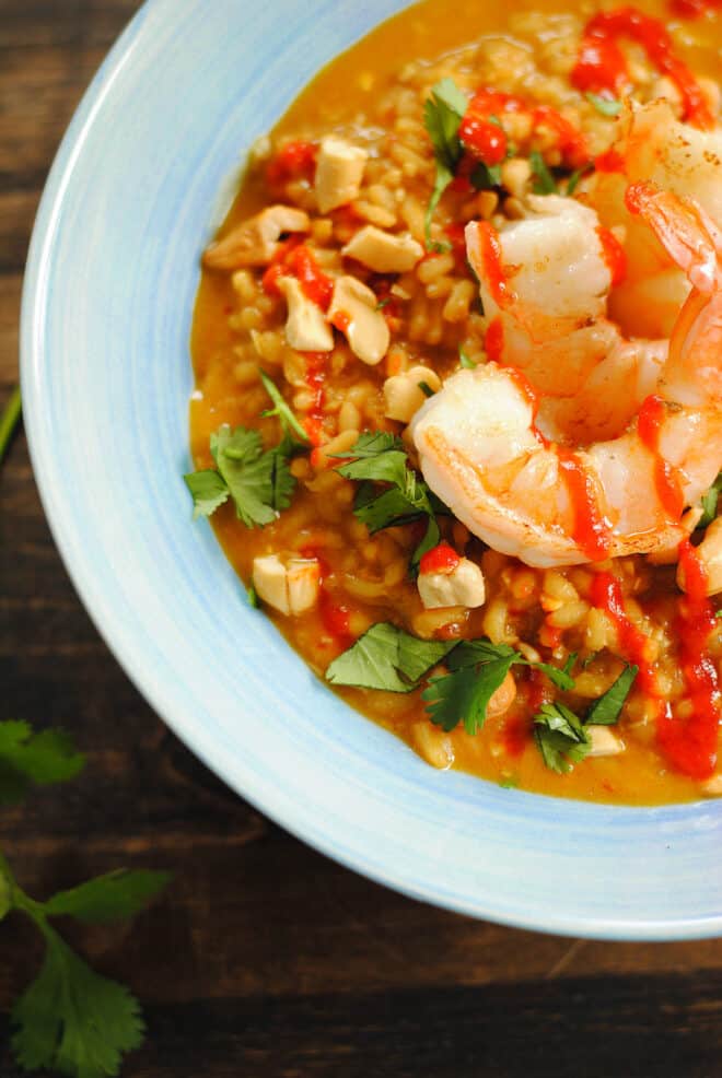 Closeup on lime shrimp on top of coconut risotto.