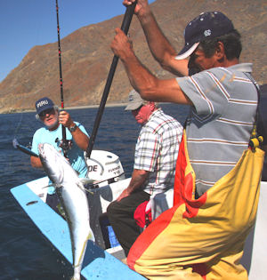 Baja Fishing