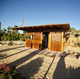 Breaking Bread In Todos Santos