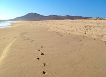 Todos Santos Beach