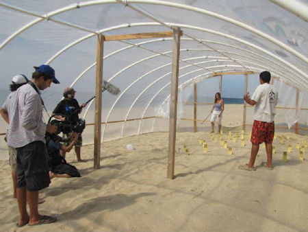 greenhouse Tortugueros Las Playitas Todos Santos