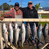 Baja Fishing Report