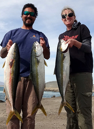 Bahía Asunción yellowtail