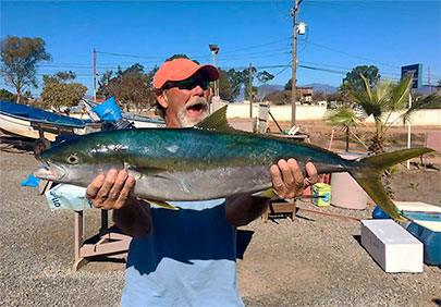 Baja Fishing