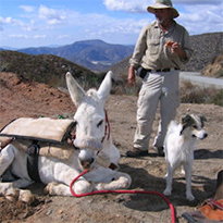 Walking the Baja Peninsula