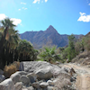 Guadalupe Canyon Hot Springs