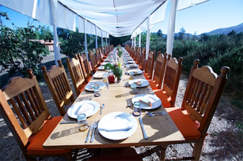 Rancho La Puerta Table